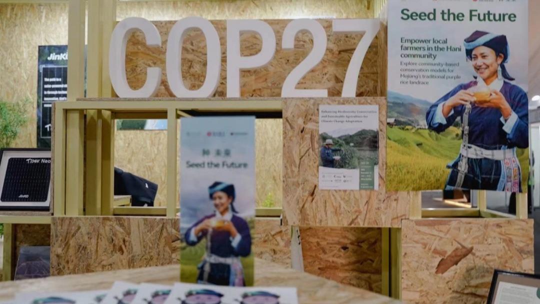 Хятадын төлөөлөгчид COP27-д оролцов
