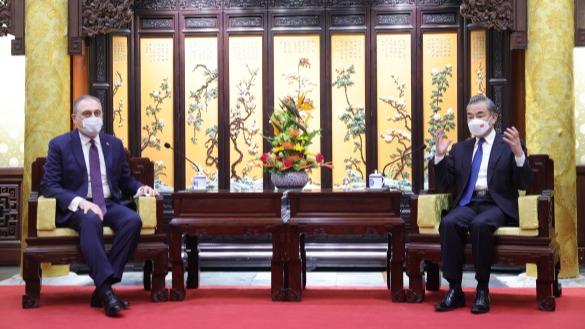 دیدار وزیر امور خارجه چین با سفیر جدید روسیه در چینا