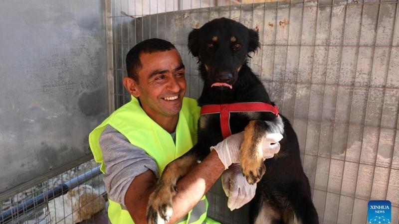 ایجاد یک کلینیک عمومی دامپزشکی برای درمان حیوانات ولگرد در شهر فلسطین