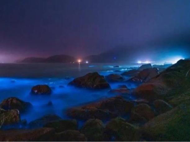 「青い涙」と呼ばれる幻想的な光景広がる　広東省珠海