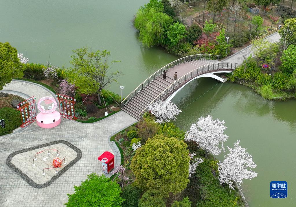 緑豊かな美しい春の風景広がる寧波市植物園　浙江省寧波