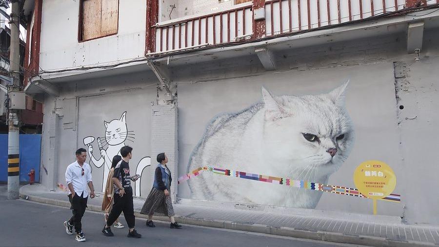 خیابان گربه