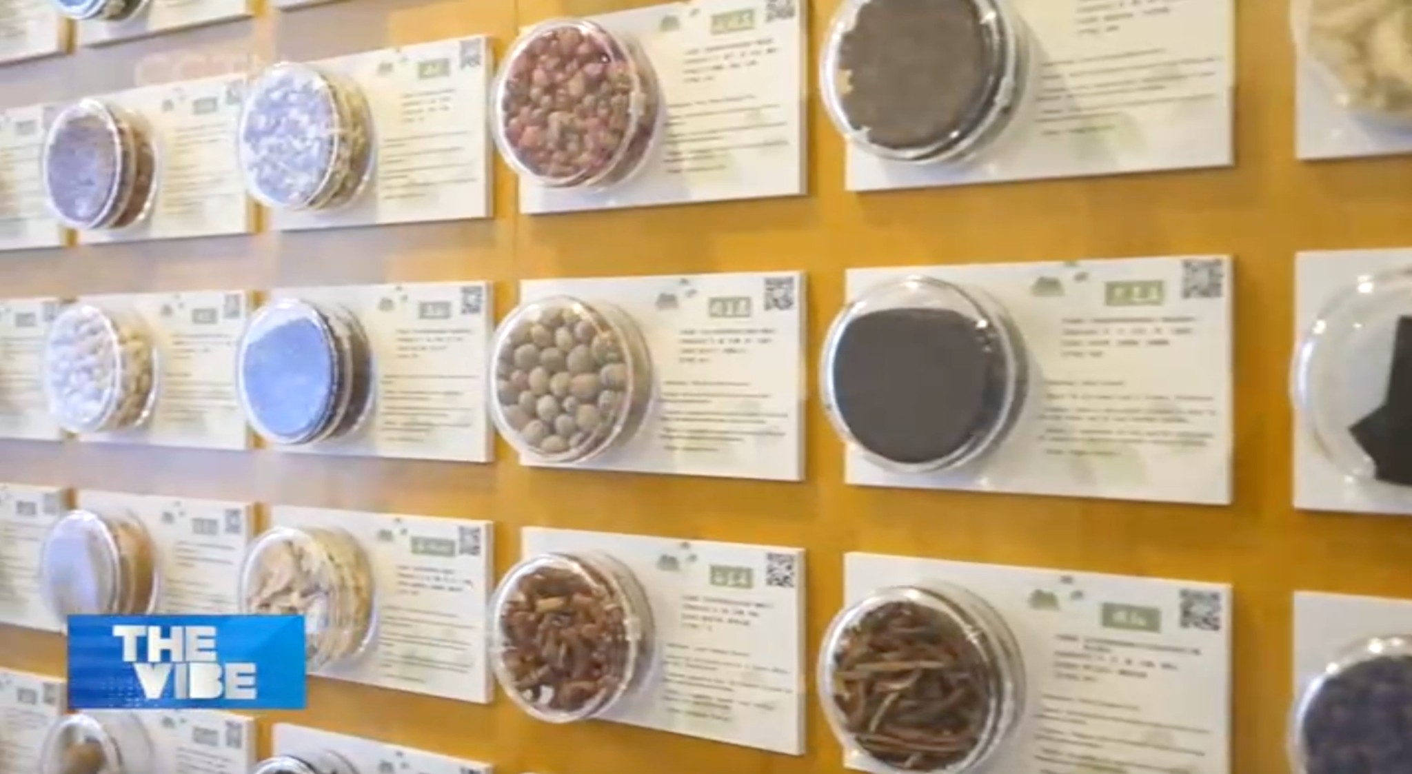 همسانی غذا و دارو در طب سنتی چینا