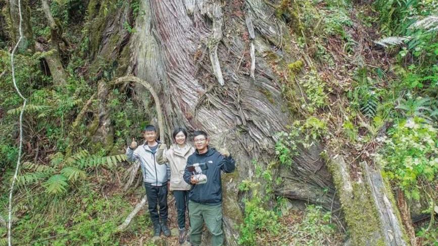 Tybetańskie drzewo o wysokości 102,3 m ustanowiło nowy azjatycki rekord