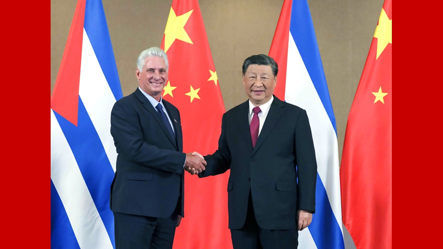 دیدار روسای جمهور چین و کوبا در ژوهانسبورگ