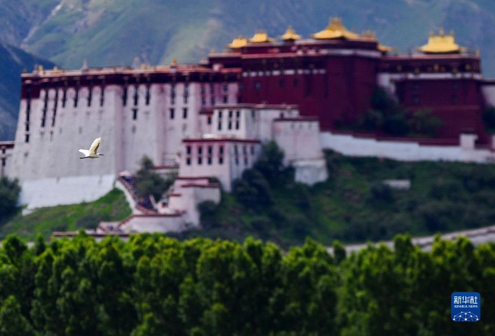 Tanah Paya Bagaikan “Paru-paru” bagi Bandar Lhasa