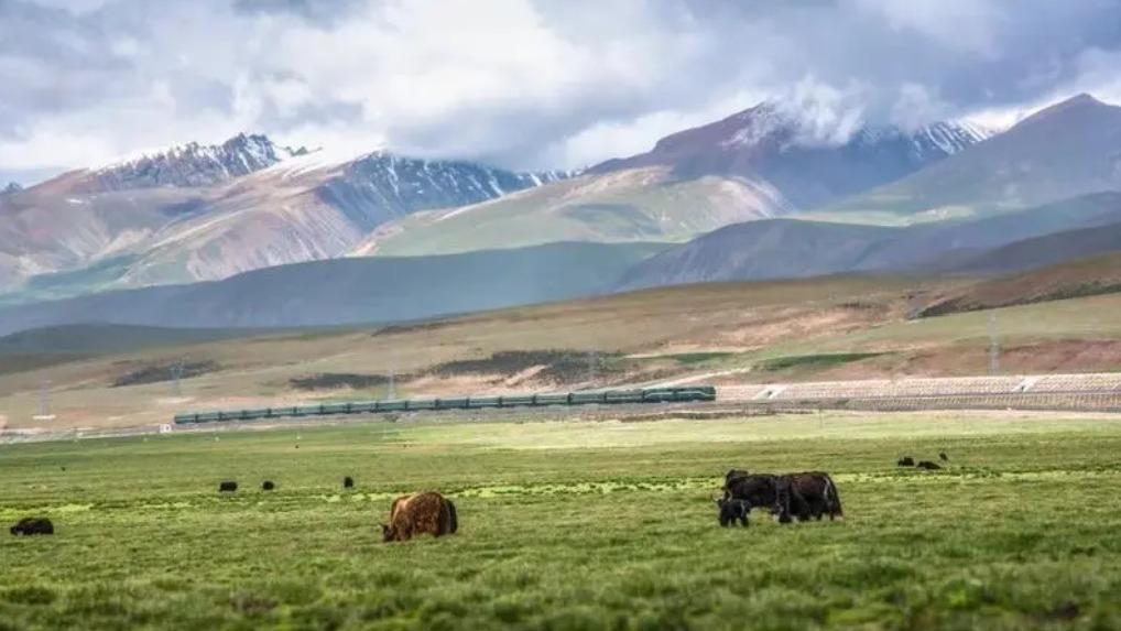 छिङहाइ-तिब्बत पठारभूमिको संरक्षण गर्न बलियो समर्थन #समाचारसन्दर्भ