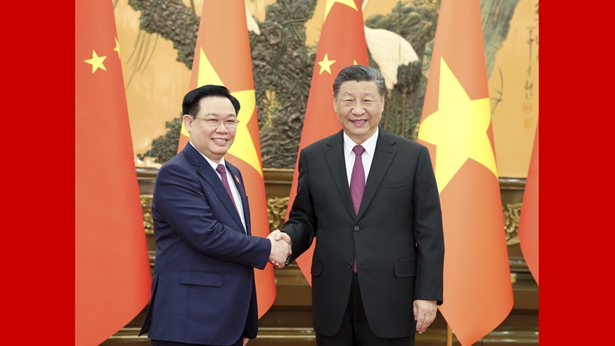 دیدار رئیس جمهور چین با رئیس مجلس ملی ویتناما