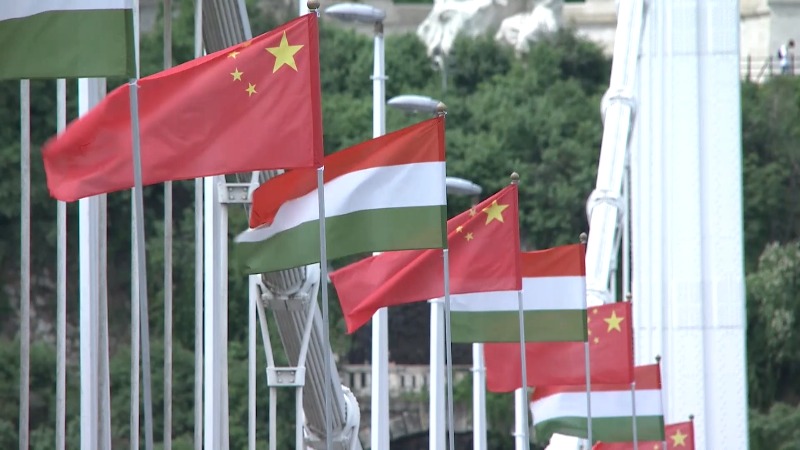ویدئو| آمادگی مجارستان برای استقبال از رئیس جمهور چینا