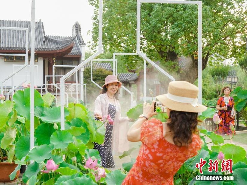 Pameran Bunga Teratai di Wuhan