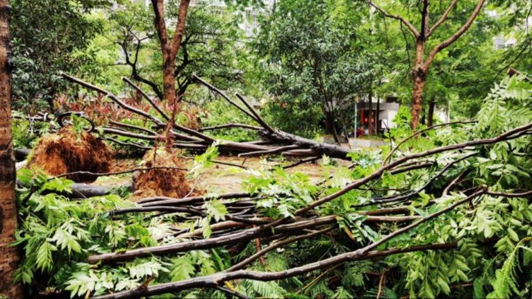 628 هزار نفر تحت تاثیر طوفان گائمی در استان فوجیان/ افزایش سطح هشدار به سطح 3ا