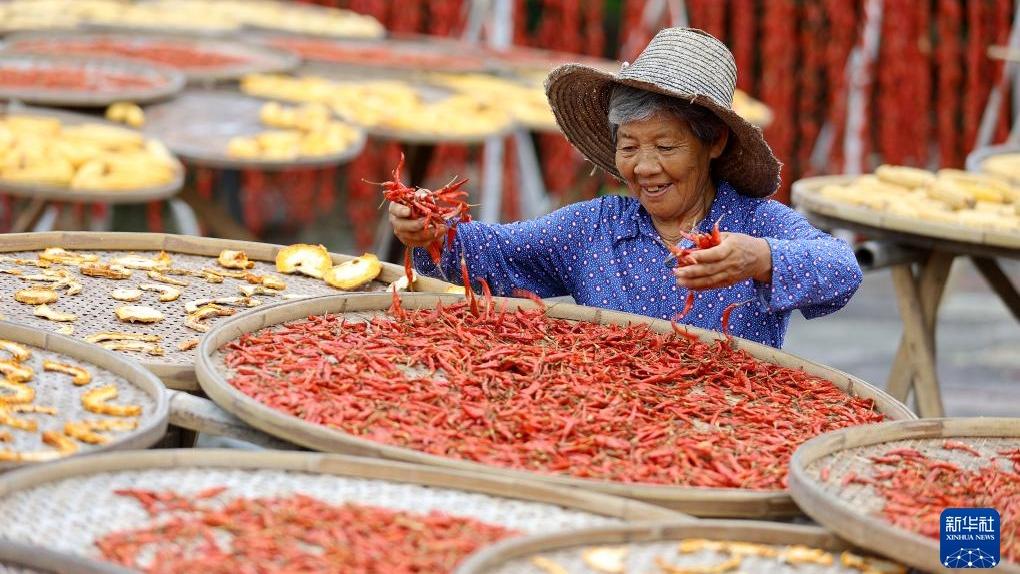 Suasana Ceria Rai Musim Menuai