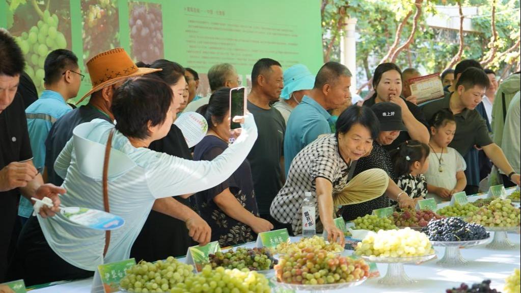 Pesta Anggur Turpan Tarik Pengunjung