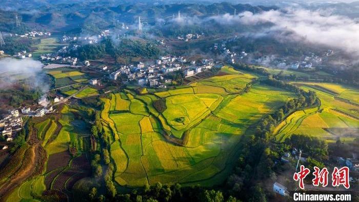 Landskap Ladang Pertanian Bak Lukisan