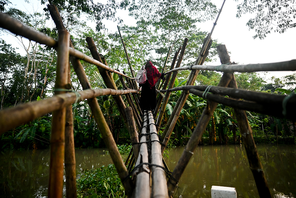 বরিশালের গ্রামাণাঞ্চলে বাঁশের সেতু