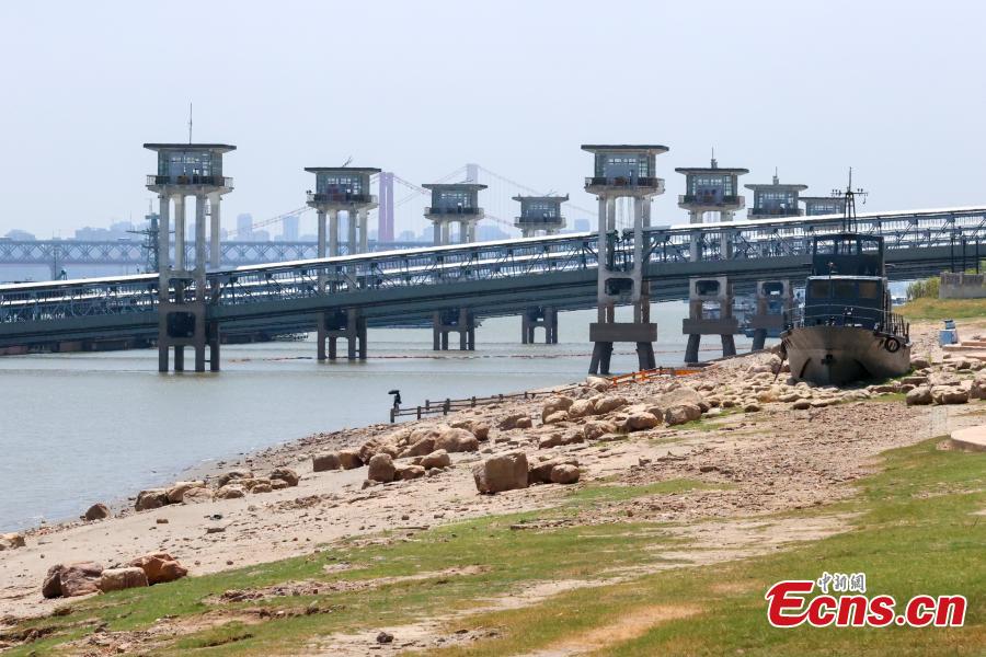 Μια μεγάλη περιοχή κατά μήκος του ποταμού Γιανγκτζέ έχει εμφανιστεί στο Γουχάν, στην επαρχία Χουμπέι της Κεντρικής Κίνας, σε φωτογραφία από τις 15 Αυγούστου 2022. (Φωτογραφία: China News Service)