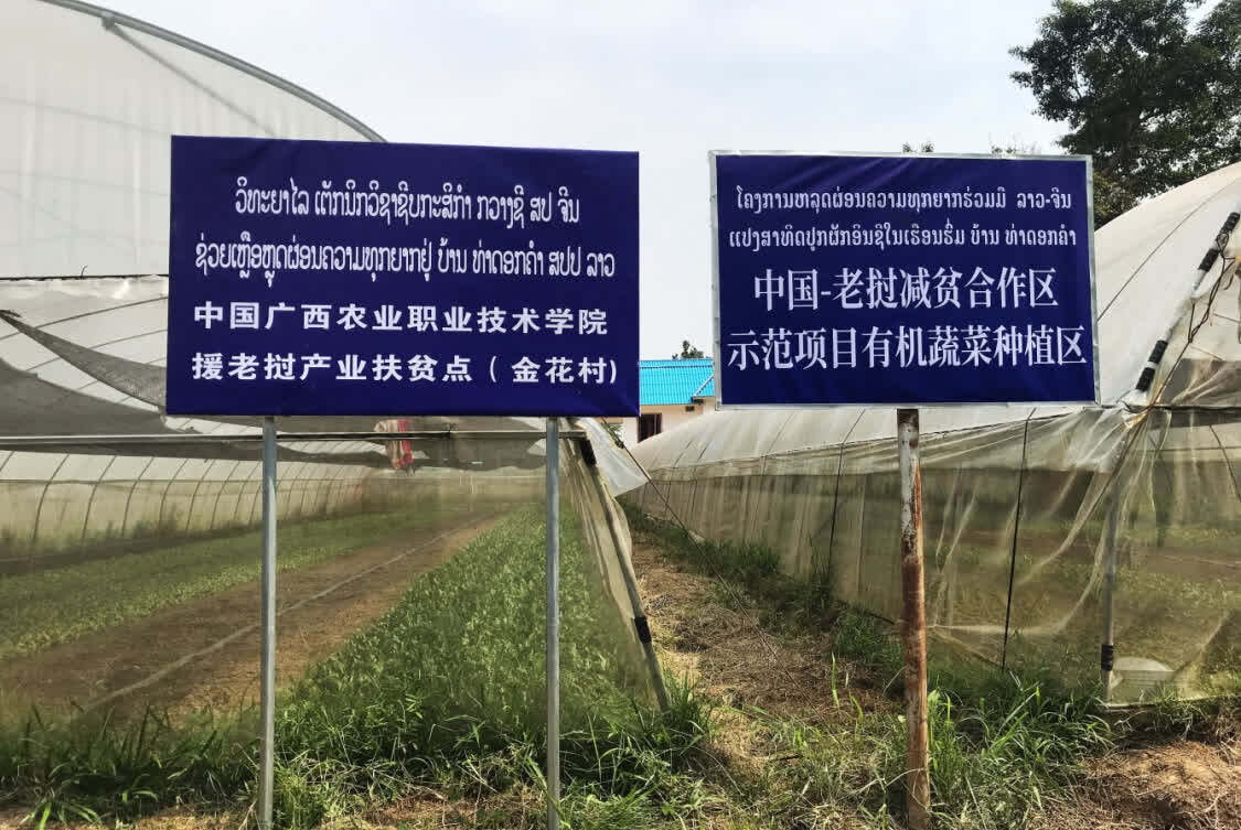 Projekti i bashkëpunimit bujqësor të Kinës me vende të Azisë Juglindore(Foto:https://www.gmw.cn/)