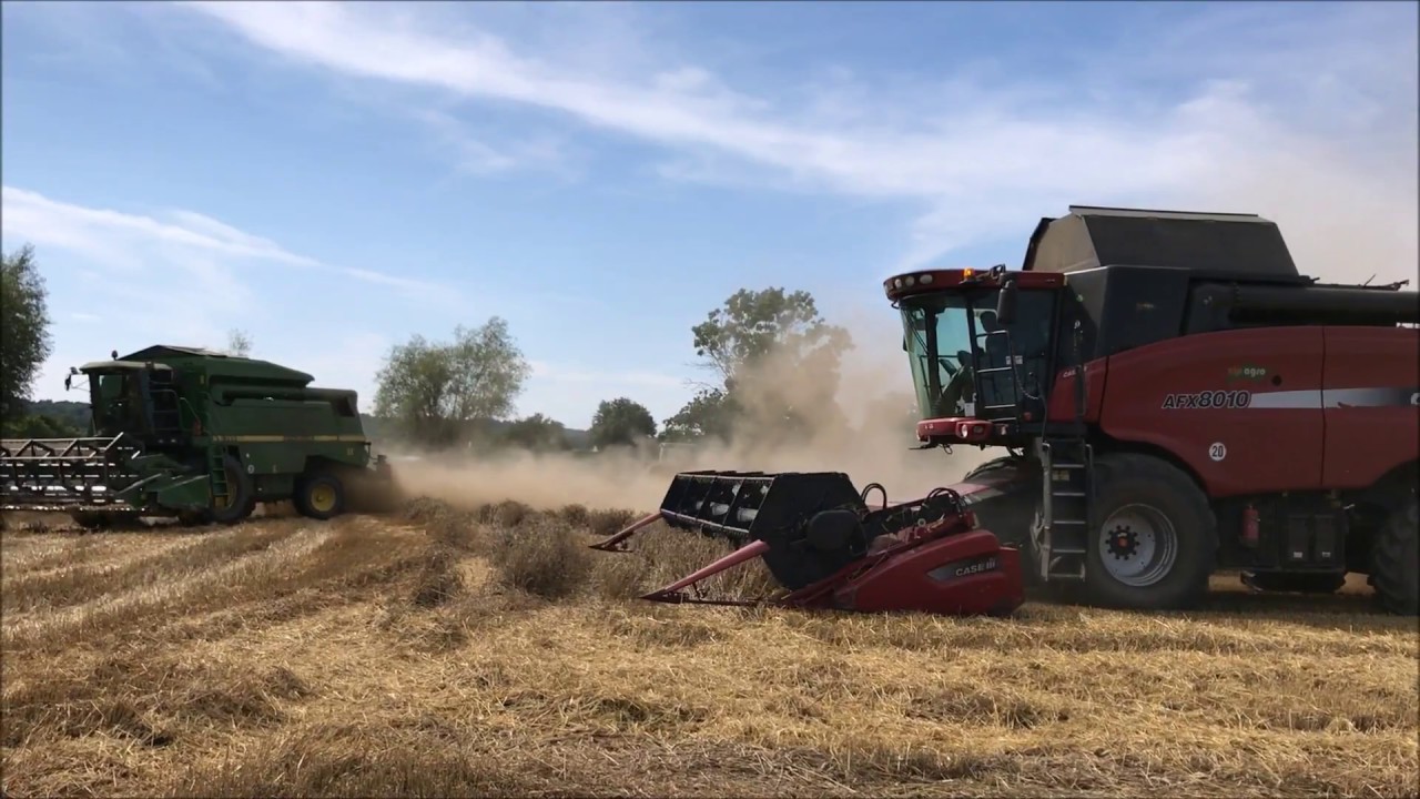 Agrikultura ne Itali (Foto Youtube)