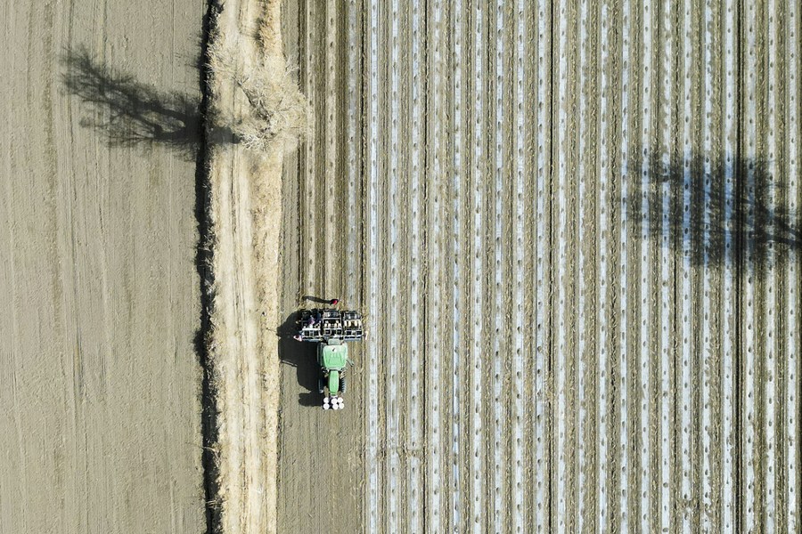 Αυτή η αεροφωτογραφία που τραβήχτηκε στις 29 Μαρτίου 2023 δείχνει μια γεωργική μηχανή να δουλεύει σε ένα χωράφι με βαμβάκι στην κομητεία Γιουλί στην Αυτόνομη Περιοχή Σιντζιάνγκ Ουιγούρ της βορειοδυτικής Κίνας, 30 Μαρτίου 2023. (Xinhua/Wang Fei)