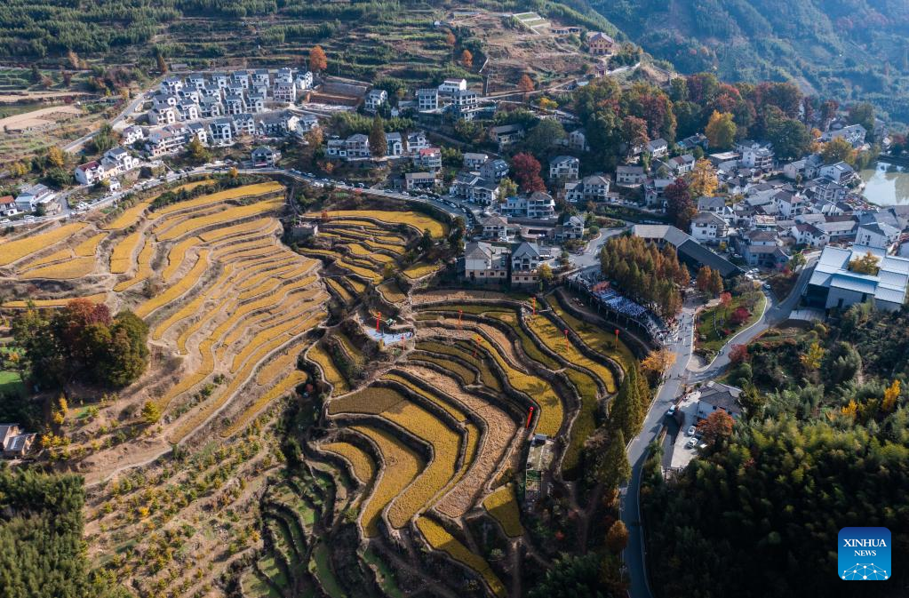 Αυτή η αεροφωτογραφία που τραβήχτηκε στις 5 Νοεμβρίου 2022 δείχνει το φθινοπωρινό τοπίο του χωριού Τζινάν στην περιοχή Λιν’αν της πόλης Χανγκτζού, στην επαρχία Τζετζιάνγκ της ανατολικής Κίνας. (Xinhua/Xu Yu)