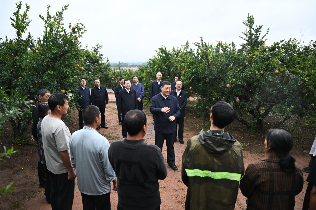 Ο Πρόεδρος Σι Τζινπίνγκ επισκέπτεται έναν κήπο με ροδιές στην πόλη Ζαοζουάνγκ στην επαρχία Σαντόνγκ της Ανατολικής Κίνας το απόγευμα της Κυριακής, 24 Σεπτεμβρίου 2023. [Φωτογραφία/Xinhua]