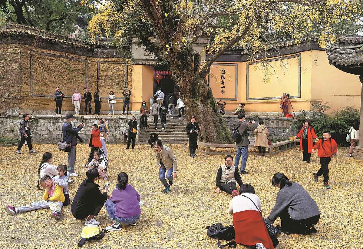 Άνθρωποι χαλαρώνουν μπροστά σε ένα δέντρο τζίνγκο στο ναό Χουισάν στις 9 Δεκεμβρίου. JIANG DONG/CHINA DAILY