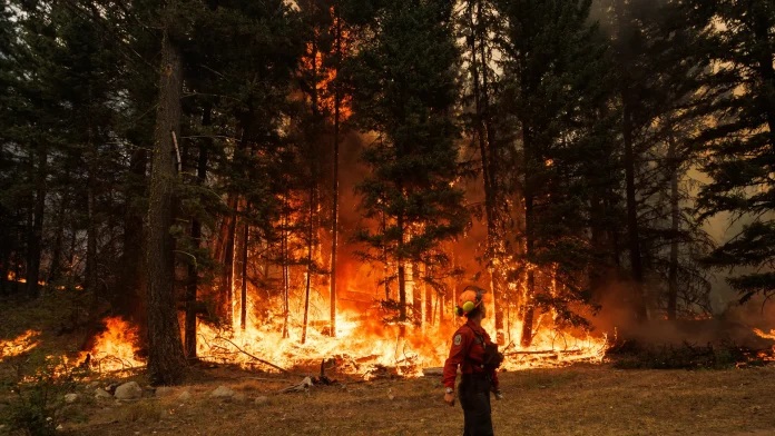 Zjarret ne Kanada (Foto Atsh)