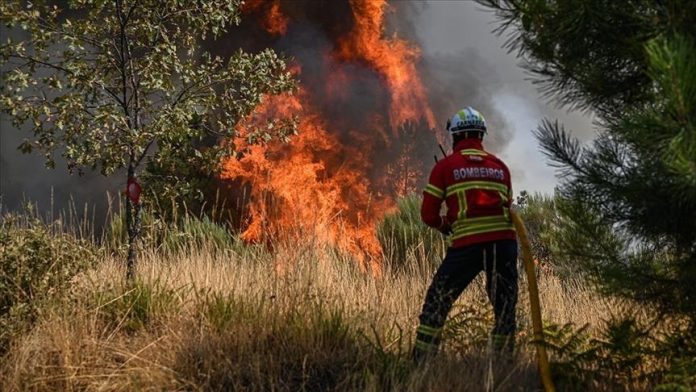 Zjarret ne Portugali (Foto Atsh)