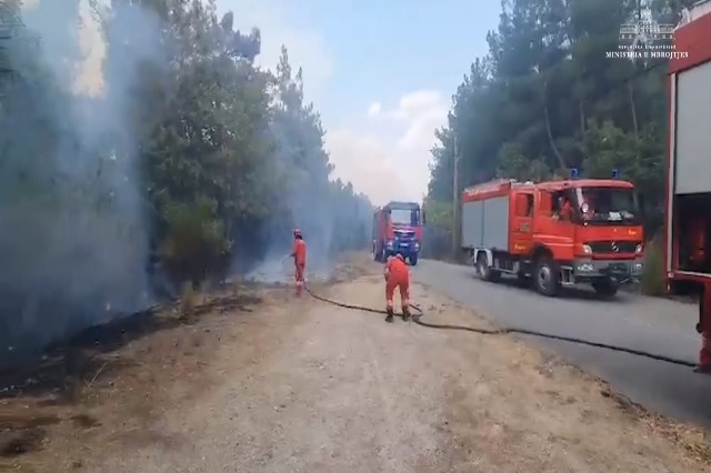 Zjarre (Foto RTSH)