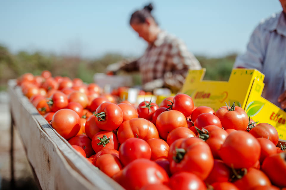 Produktet shqiptare (Foto Atsh)