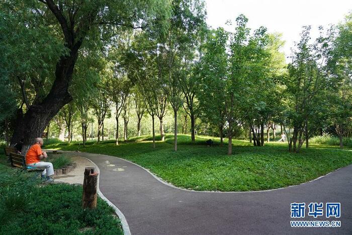 베이징, 문을 나서면 녹지 공원_fororder_市民在北京东城区新中街城市森林公园内休闲