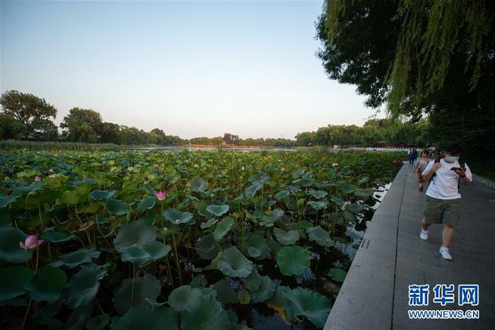 베이징, 문을 나서면 녹지 공원_fororder_市民在位于西城区的西海湿地公园休闲