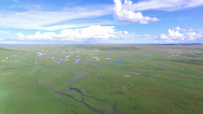 图片默认标题_fororder_7-甘肃黄河首曲国际重要湿地