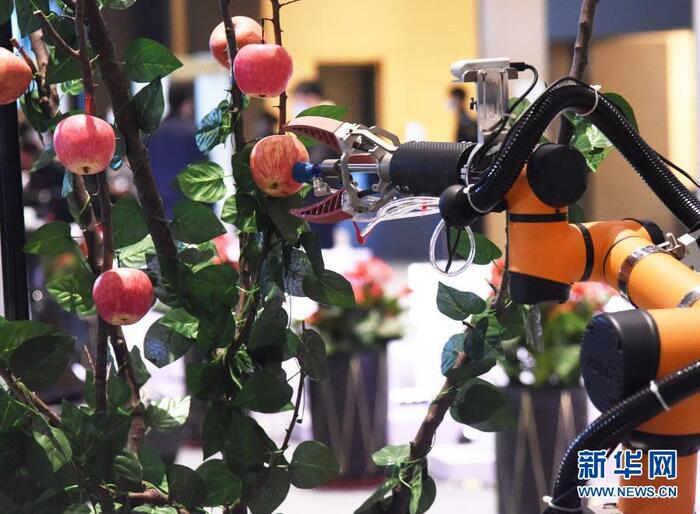 2020년 중국 로봇산업발전대회 칭다오서 개최_fororder_机器人3