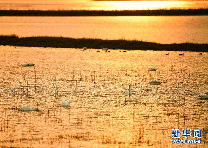 南京: "천공지경"이 "백조의 호수"로 탈바꿈