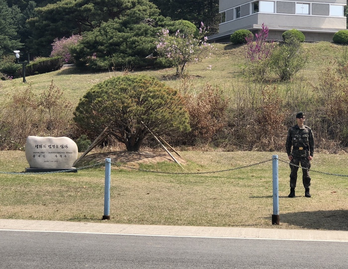 图片默认标题_fororder_韩朝领导人于2018年4月27日共同种下的松树