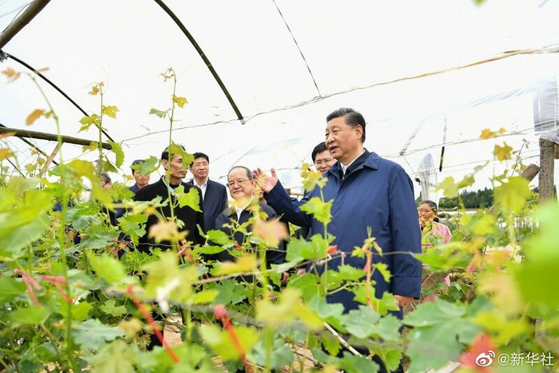 Xi Jinping Ya Yi Rangadin Aiki A Guangxi_fororder_i