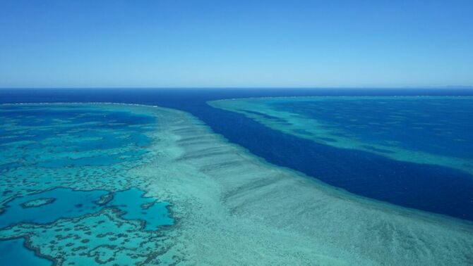 ລັດ​ຖະ​ບານ​ອົ​ສ​ຕ​ຣາ​ລີຂັດ​ຂວາງ​ບໍ່​ໃຫ້ The Great Barrier Reef ​ຈັດເຂົ້າ​ໃນບັນ​ຊີ​ລາຍ​ຊື່​​ທີ່​ຕ້ອງ​ລະ​ບຸ​ສະ​ຖາ​ນະ​ຕົກ​ຢູ່​ໃນ​ສະ​ພາບ​ອັນ​ຕະ​ລາຍ​ເຊິ່ງ​ສະ​ແດງ​ໃຫ້​ເຫັນ​ເຖິງ​ຄວາມ​ຈອມ​ປອມ​ຂອງ​ລັດ​ຖະ​ບານ​ອົ​ສຕ​ຣາ​ລີ_fororder_1000 (2)