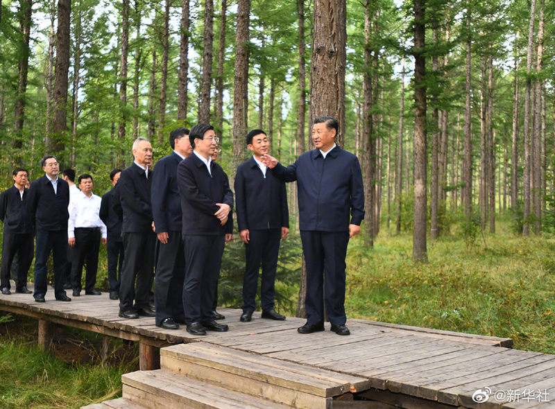 Xi: Yayata ruhin Saihanba domin cimma burin raya tattalin arzikin kasa_fororder_saihanba