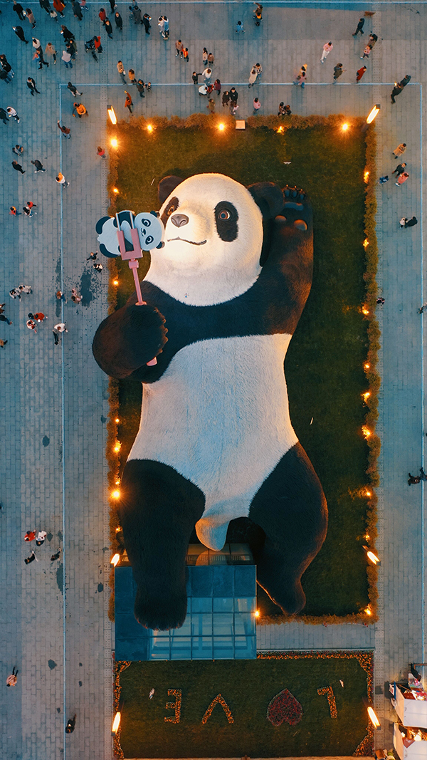 두쟝옌의 공공예술작품 "셀카를 찍는 팬더”국제상 수상_fororder_0915-chengduxiongmao-3