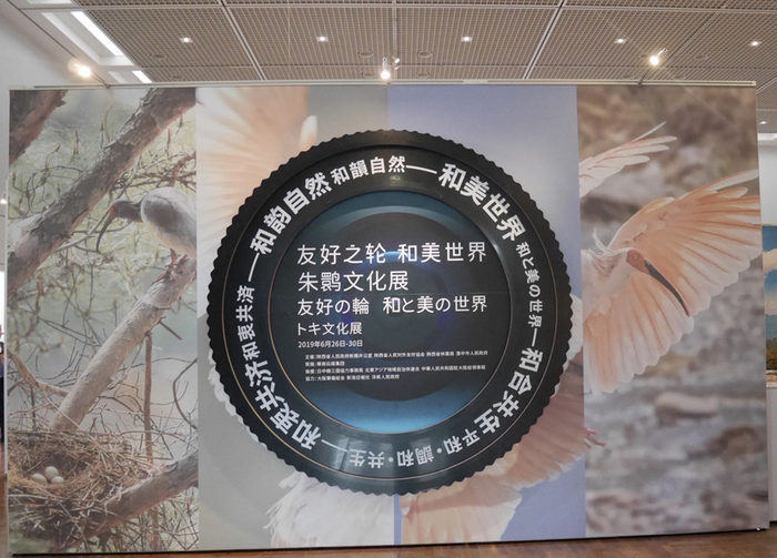 图片默认标题_fororder_6月26日，“友好之轮·和美世界——朱鹮文化展”在日本大阪市立自然史博物馆开幕