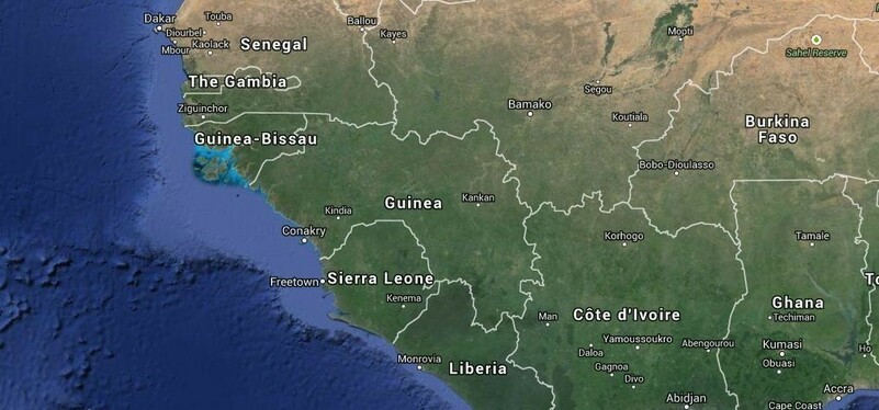 Kakakin gwamnatin Guinea-Bissau ya ce masu yunkurin juyin mulki ba su yi nasara ba_fororder_0202-Guinea-Saminu~1