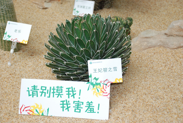 베이징국제원림박람회 이모저모(4)